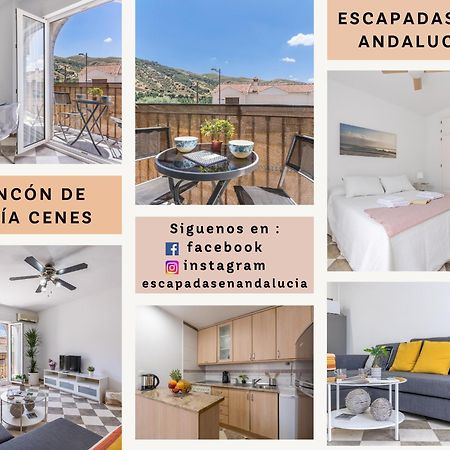 Rincon De Lucia Cenes De La Vega Lägenhet Exteriör bild